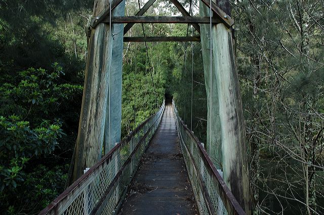 dsc_0558.jpg