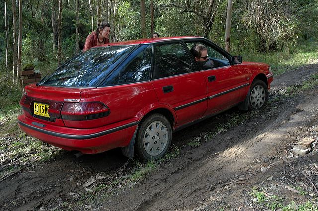 dsc_0565.jpg