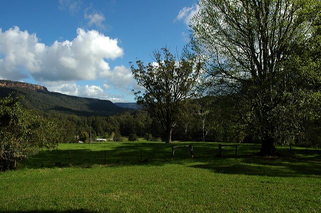 dsc_0585.jpg