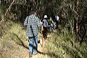 dsc_0401