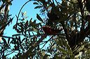 dsc_0565
